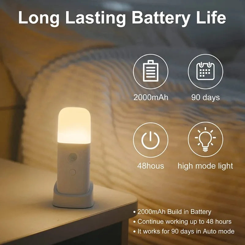 Night Lights & Ambient Lighting